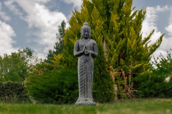 Statue bouddha debout en position chakra noir antique 158cm – Image 6