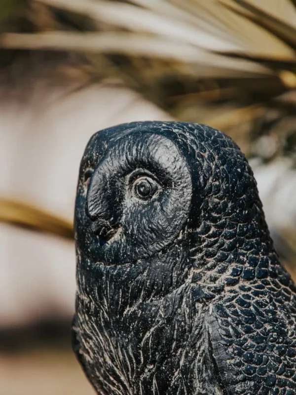 Statue de jardin chouette hibou extérieur noir antique 50cm – Image 3