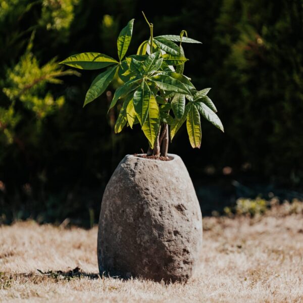 Vase Pot Plante Jardinière en Pierre de Rivière Naturelle Hauteur 35/45cm
