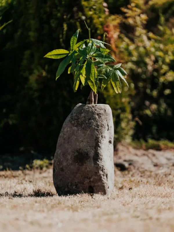 Vase Pot Plante Jardinière en Pierre de Rivière Naturelle Hauteur 35/45cm – Image 3