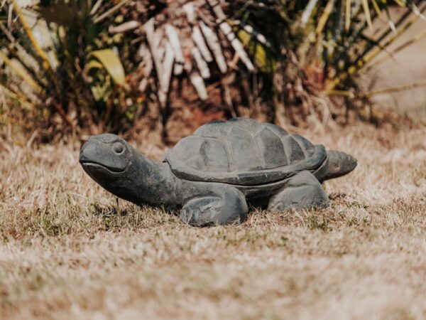 Statue tortue extérieur en pierre naturelle largeur 60cm – Image 4