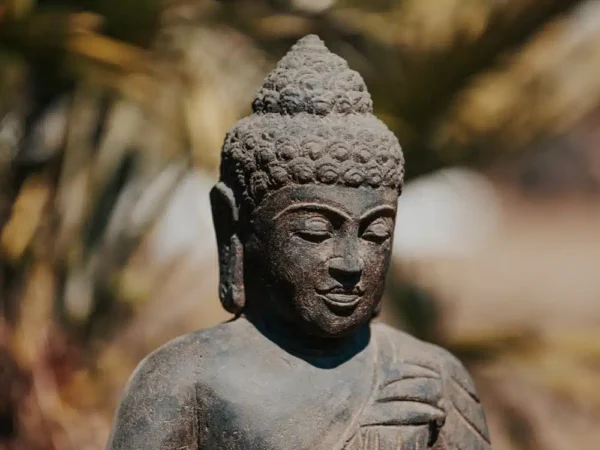 Statue bouddha assis noir en pierre naturelle pour jardin extérieur – 50cm noir antique – Image 4