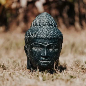 Statue de jardin tête de bouddha noir 20cm