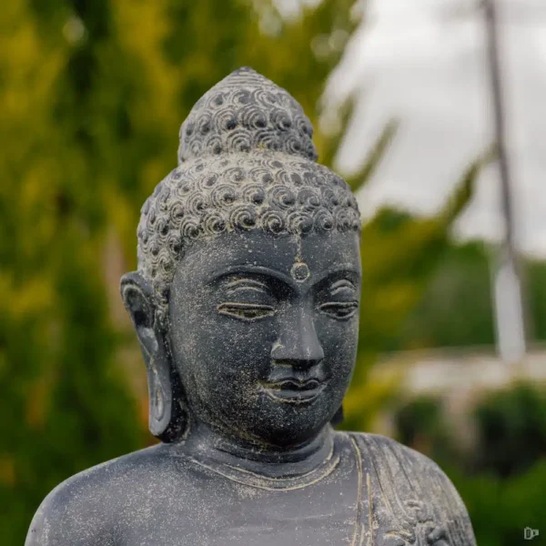 Statue bouddha debout en position chakra noir antique 158cm – Image 2