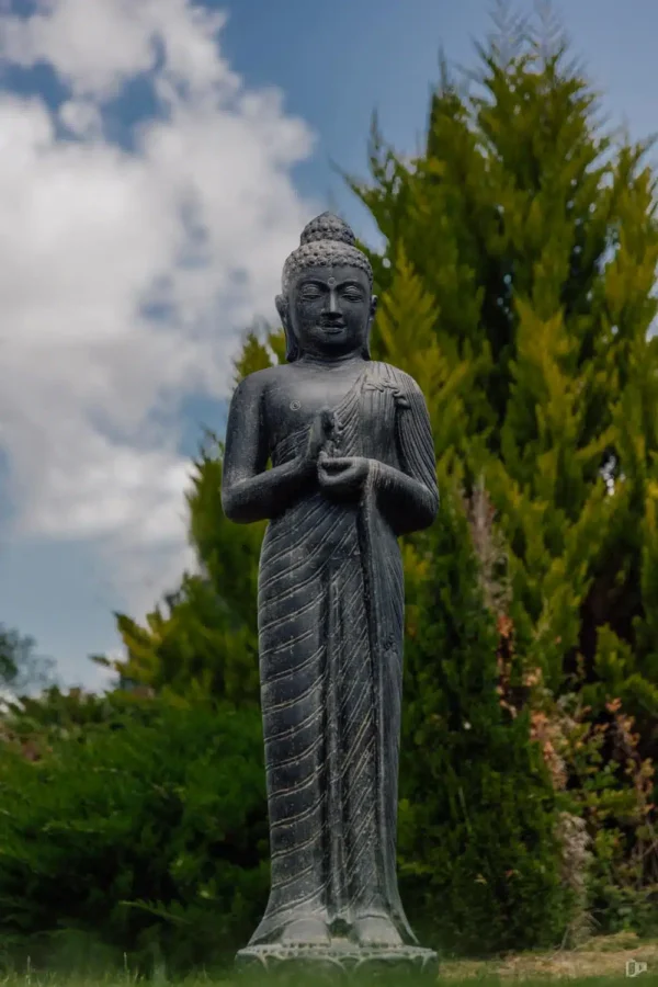 Statue bouddha debout en position chakra noir antique 158cm – Image 3