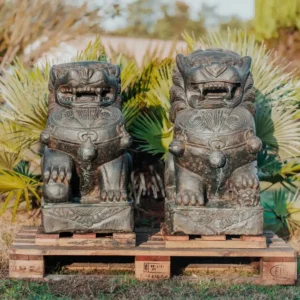 Paire de 2 lions chien Fu en pierre naturelle noir antique 75cm