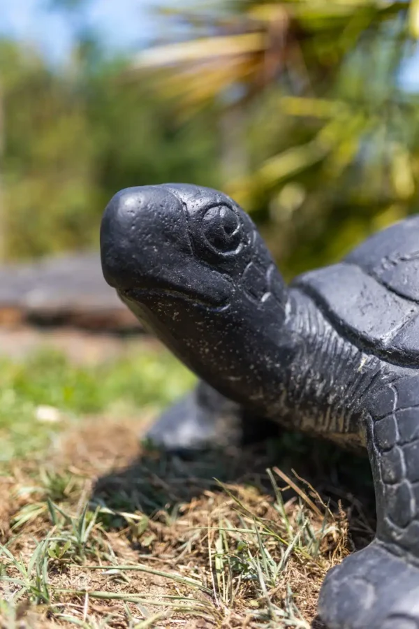 Statue de jardin extérieur tortue noir antique 60cm – Image 2