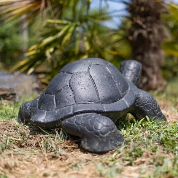 Statue de jardin extérieur tortue noir antique 60cm – Image 3