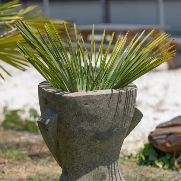 Statue visage primitif moaï jardinière sculpture en pierre volcanique naturelle pot de fleur 80cm – Image 5