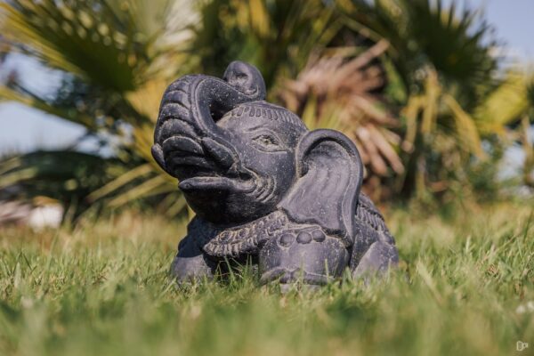 Statue éléphant indien jardin décoration noir 33cm – Image 4
