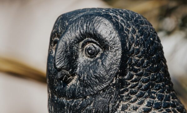 Statue de jardin chouette hibou extérieur noir antique 50cm – Image 5