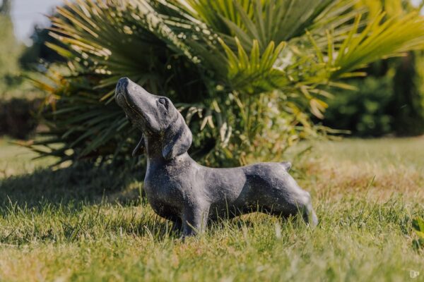 Statue teckel chien dachshund extérieur noir 40cm – Image 4