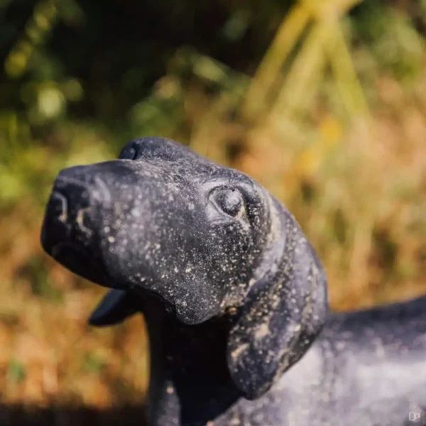 Statue teckel chien dachshund extérieur noir 40cm – Image 2