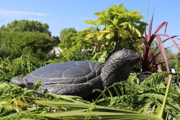 Statue de jardin tortue de mer noir antique 67cm – Image 2