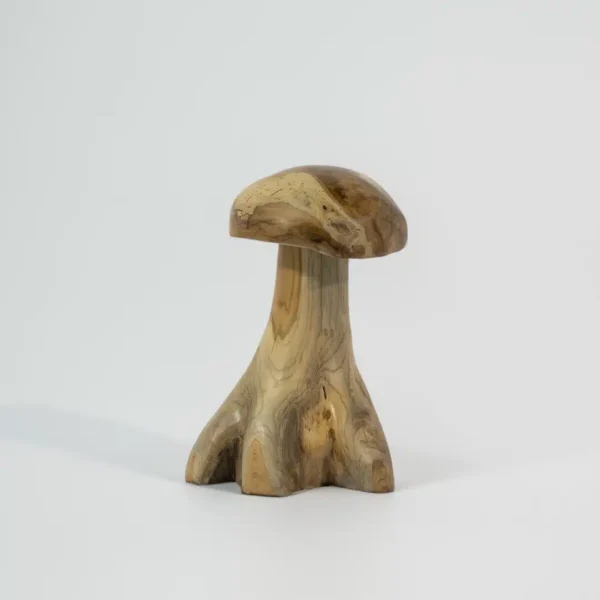 Champignon Décoratif en Bois de Teck pour Jardin 40cm / 50cm / 60cm – Image 2