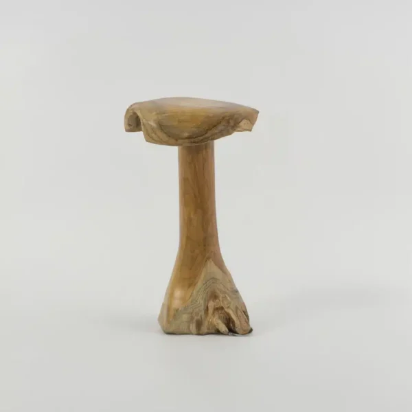 Champignon Décoratif en Bois de Teck pour Jardin 40cm / 50cm / 60cm – Image 3