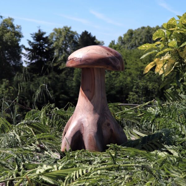 Champignon Décoratif en Bois de Teck pour Jardin 40cm / 50cm / 60cm – Image 6