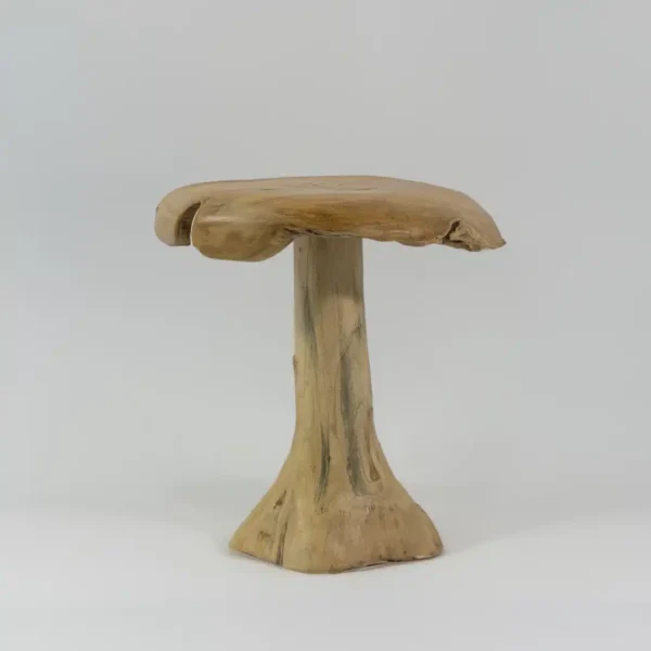 Champignon Décoratif en Bois de Teck pour Jardin 40cm / 50cm / 60cm – Image 4
