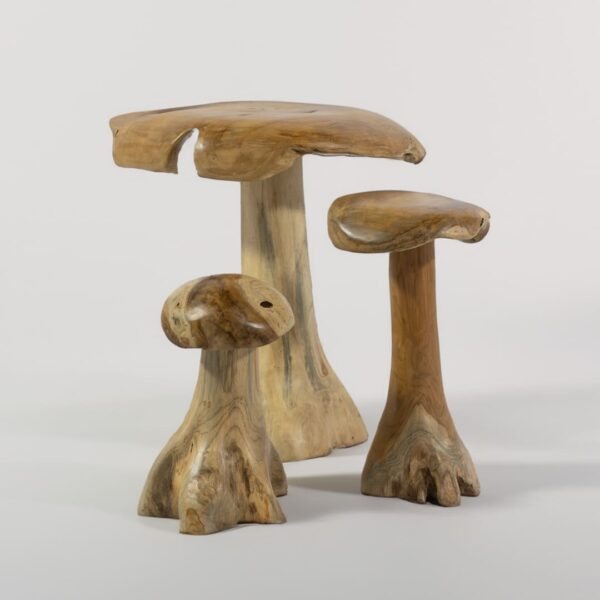 Champignon Décoratif en Bois de Teck pour Jardin 40cm / 50cm / 60cm – Image 5