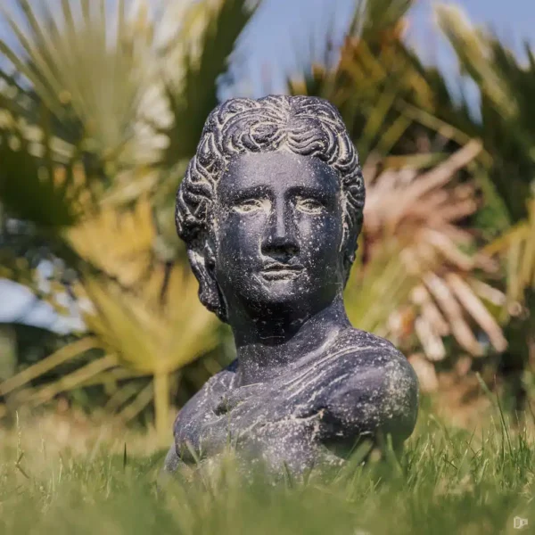 Statue de jardin extérieur intérieur du buste de David noir antique 41cm