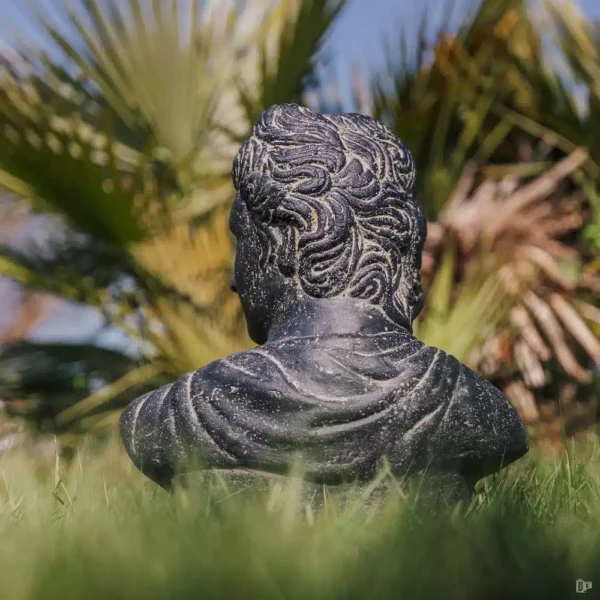 Statue de jardin extérieur intérieur du buste de David noir antique 41cm – Image 3
