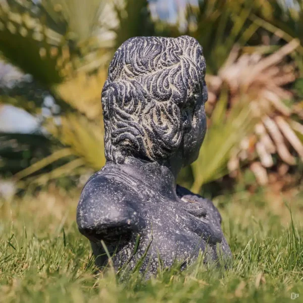 Statue de jardin extérieur intérieur du buste de David noir antique 41cm – Image 2