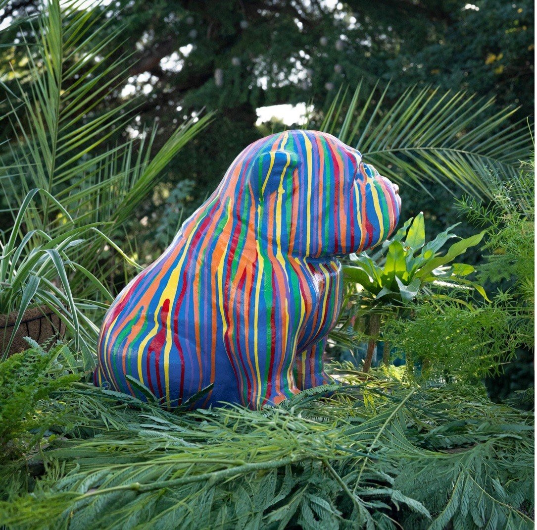 Chien buldog bleu multicolore en pierre reconstituée Statue de 41cm – Image 2