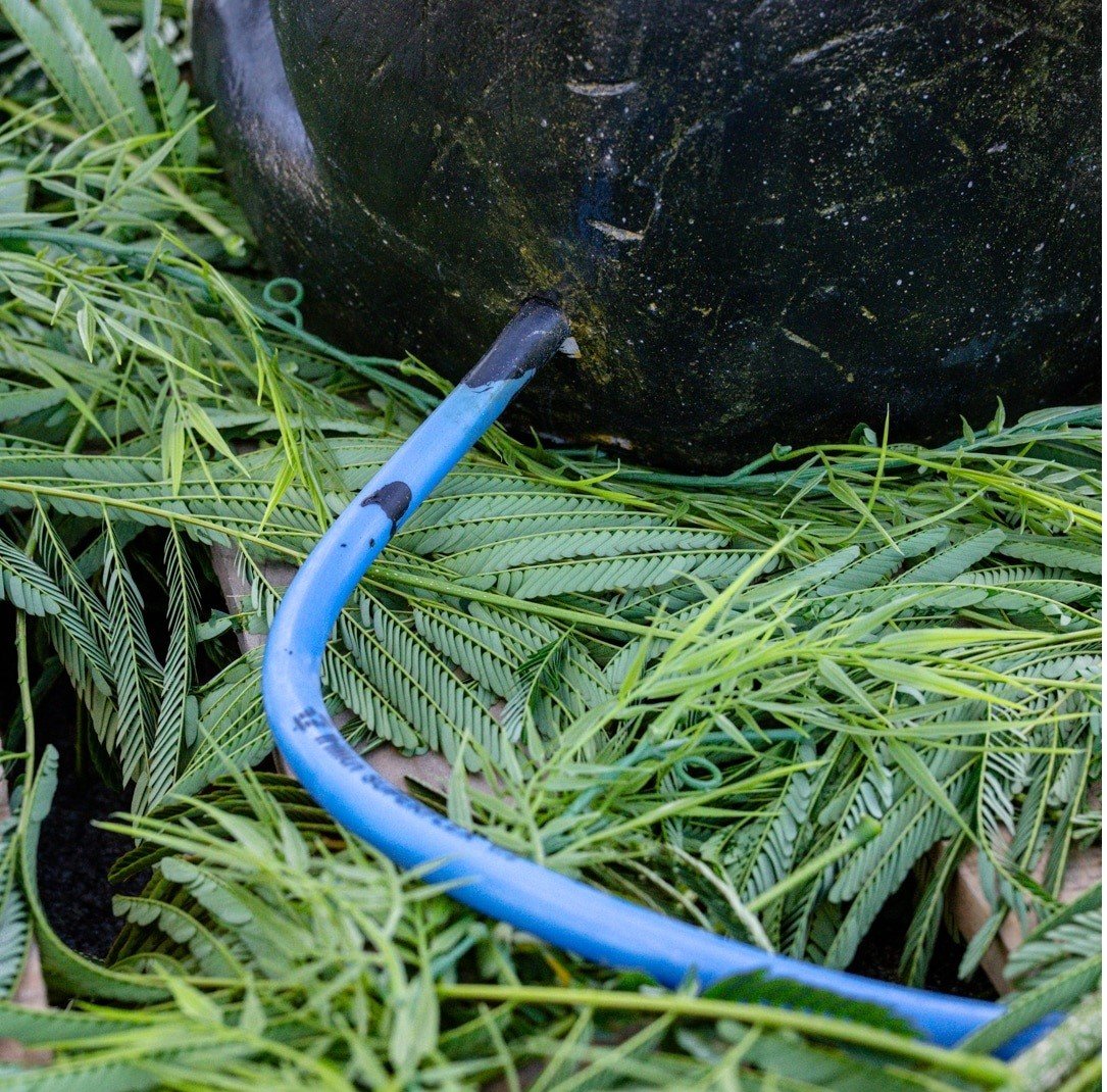 Fontaine éléphant assis noir antique 50cm – Image 5